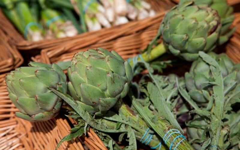 Artichoke