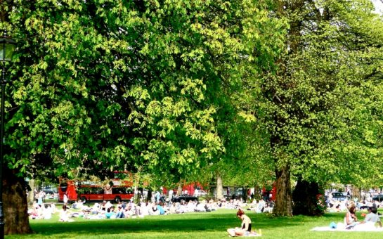Clapham Common - Final day for residents to submit views on SW4 festival (Herry Lawford)