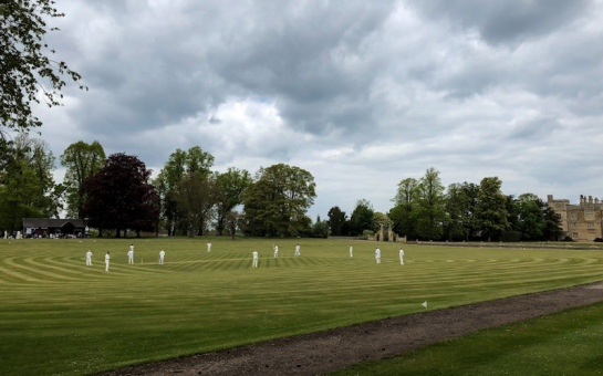 A cricket scene