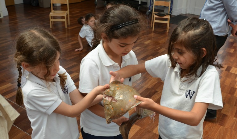 FairCatch school kids with fish