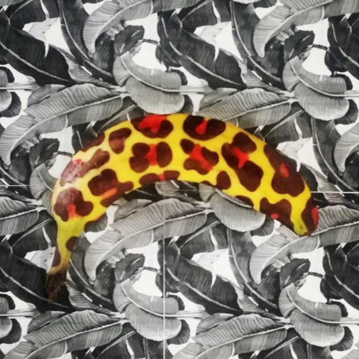 Fun With Fruit leopard print courtesy Elisa Roche