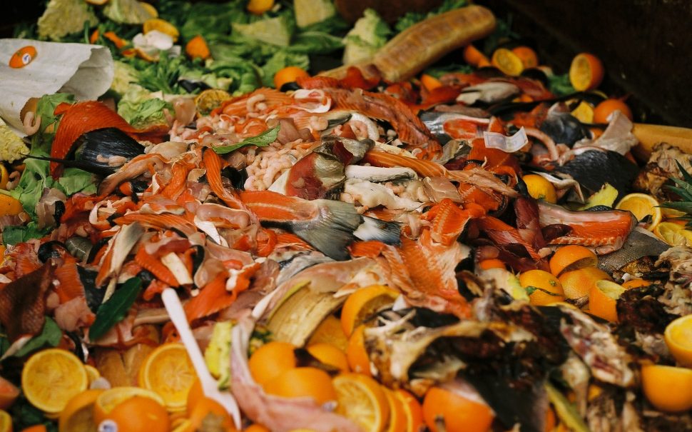 Food waste piled up