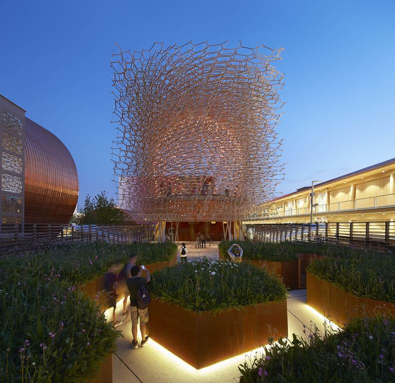 Kew gardens Hive comp