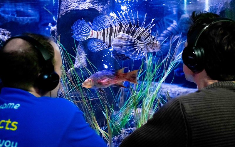 London Aquarium fish choir with 'vocal range like Mariah Carey' sing
