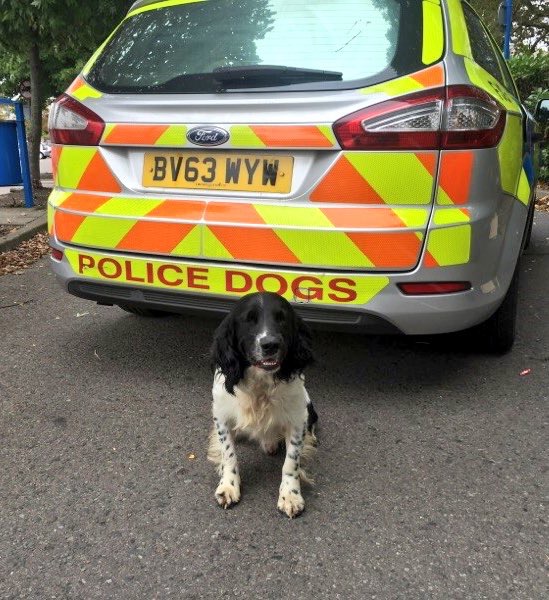 pd-monty-posing