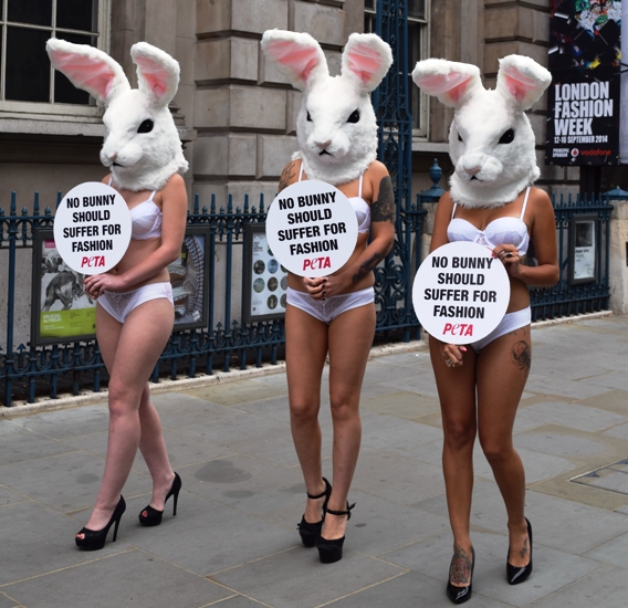PETA bunnies london fashion week portrait