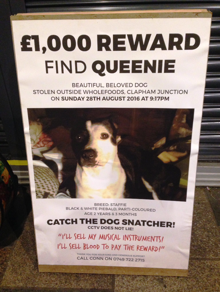Queenie Missing Poster