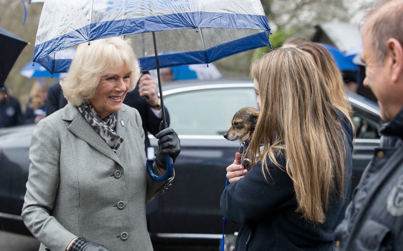 The Duchess of Cornwall at Battersea Dogs and Cats Home