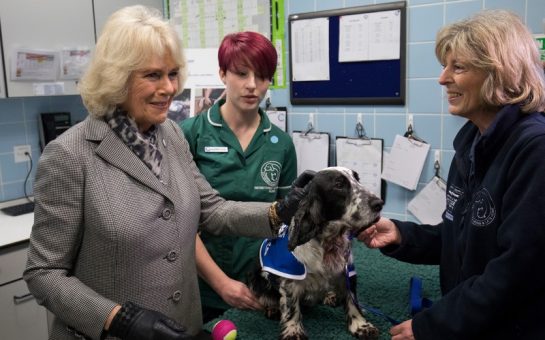 The Duchess of Cornwall at Battersea Dogs and Cats Home