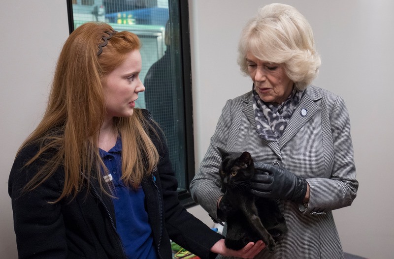 The Duchess of Cornwall at Battersea Dogs and Cats Home