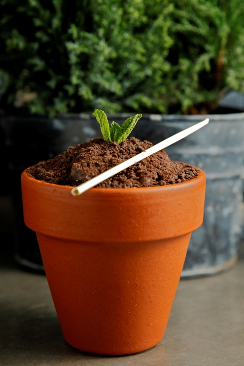 Tiny Leaf cocktail