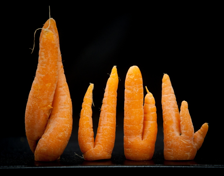 Wonky Carrots