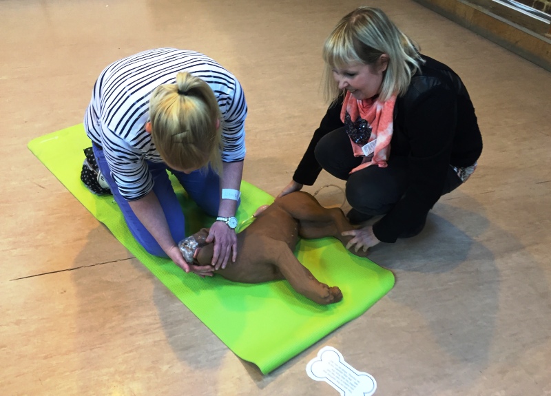 doggy-first-aid-resusidog