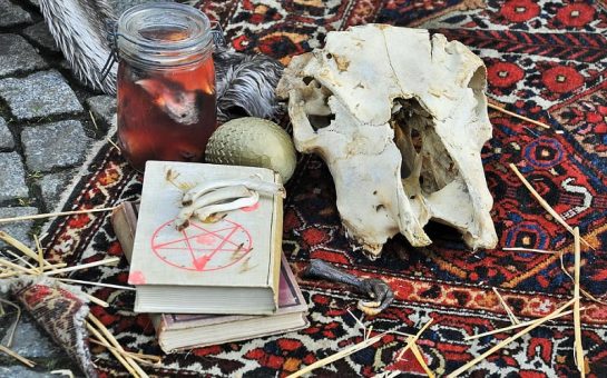 Animal skull, spell books and other occult items