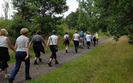 A group of people walking in a wooded area