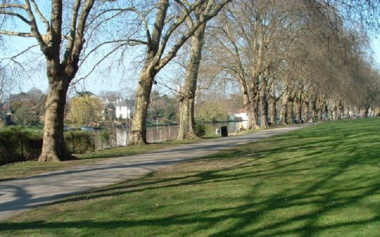 Canbury Gardens