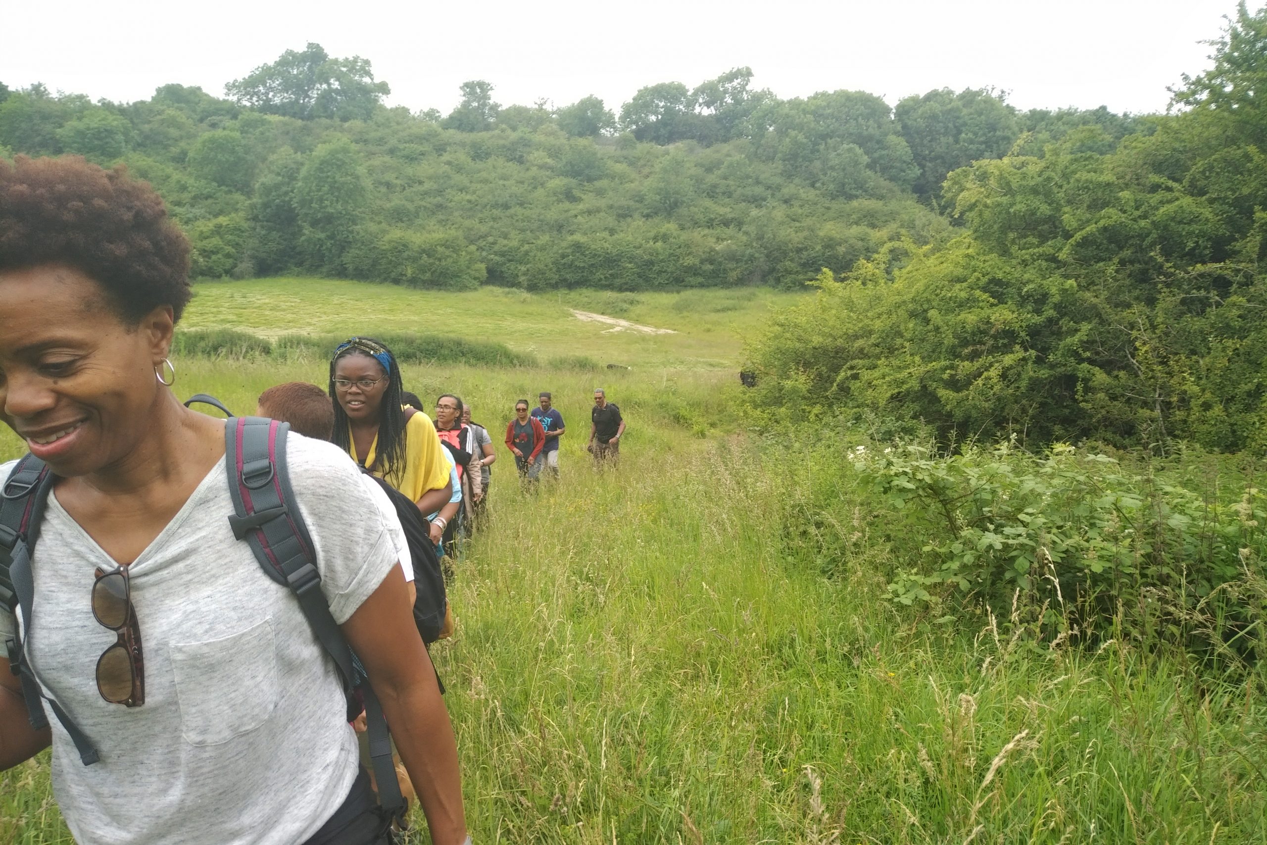 A line of people hiking through long grass surrounded by bushes. 