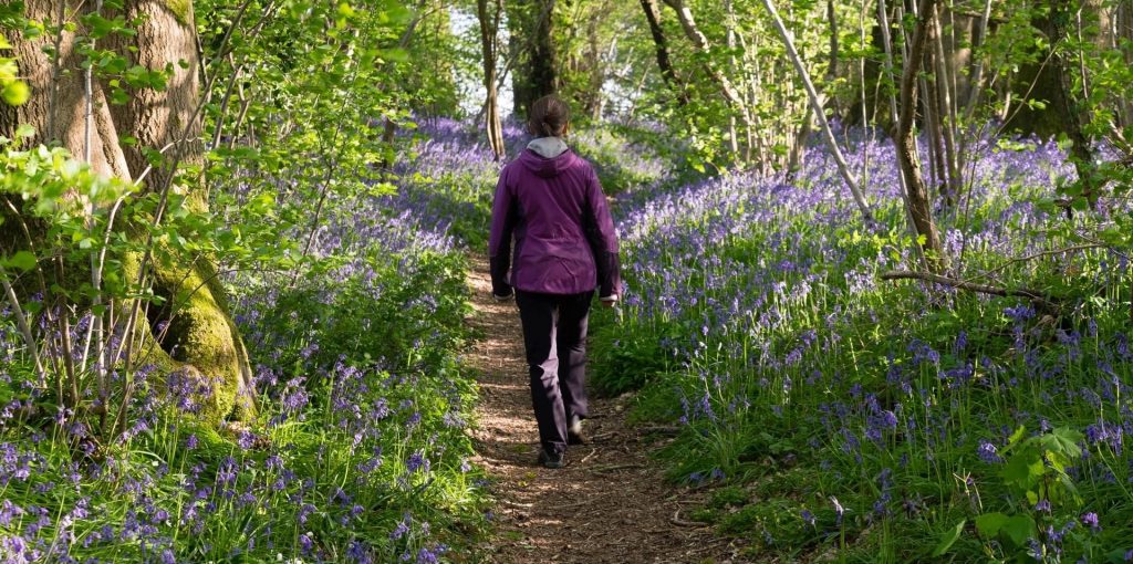 Liz Wakelin in a purple coat walking through a path of bluebells