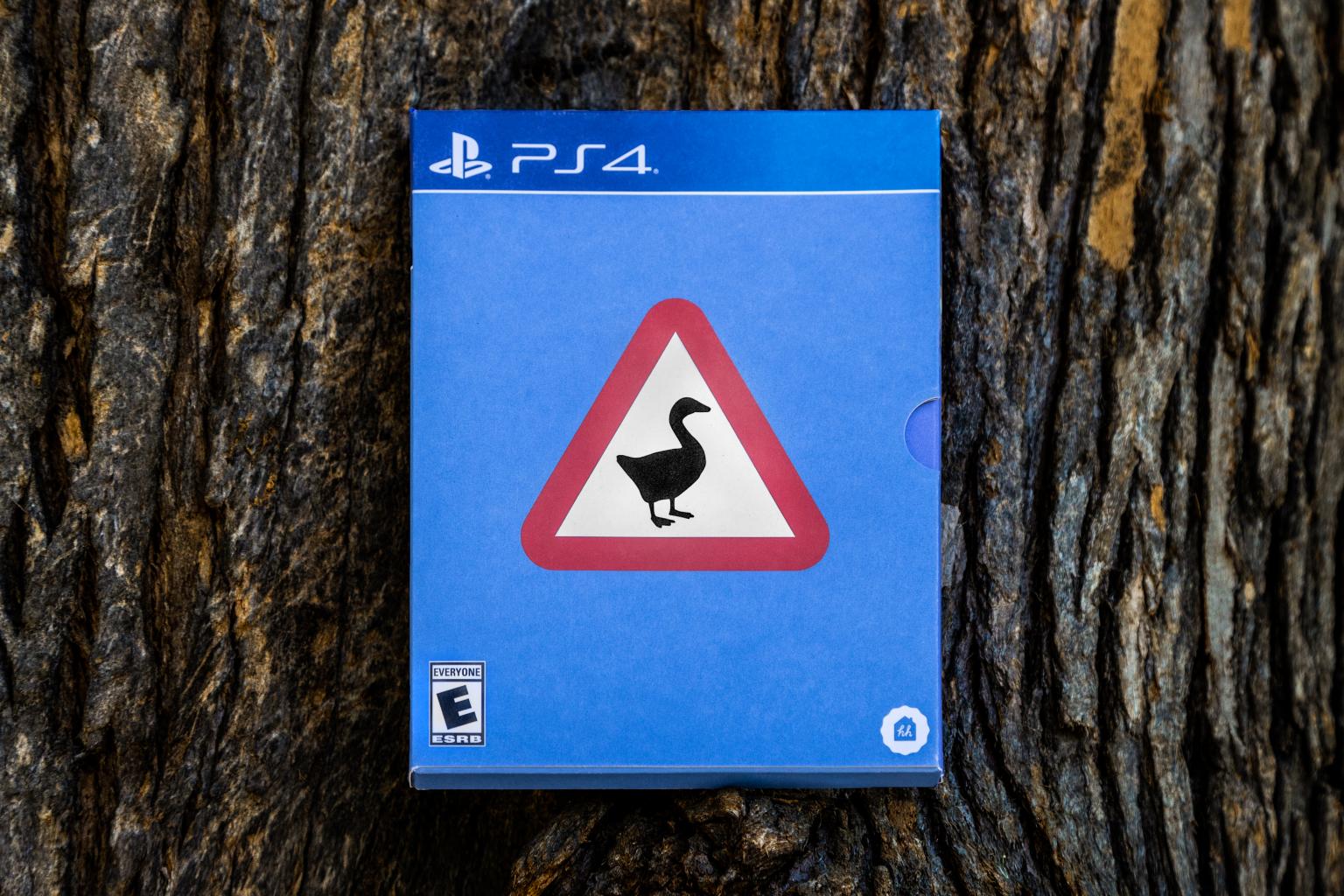 Top free physical games tagged untitled-goose-game 