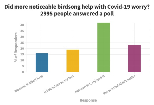 Bar chart with responses on the x axis and percentage of respondents on the y axis, shows 16% were worried and it didn't help, 19% said it helped them worry less, 23% said they weren't worried and didn't notice  it and 42% said they weren't worried and enjoyed it. 