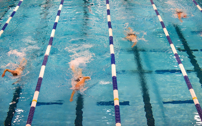 People swimming in pool lanes