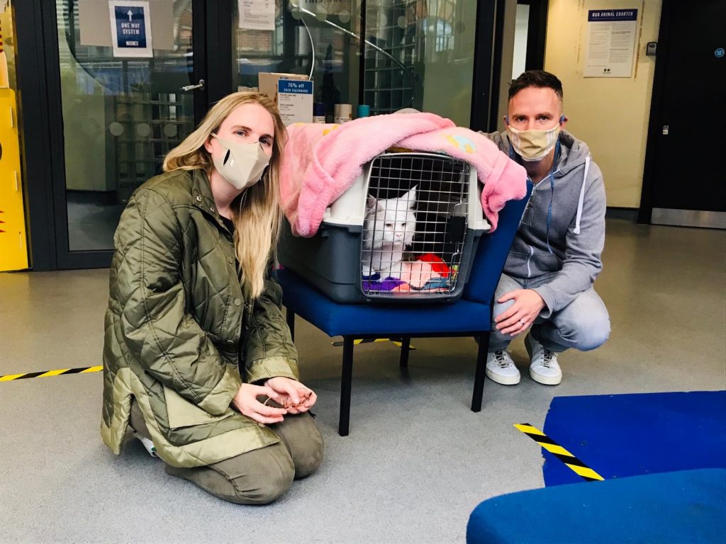 Casper, a white Maine Coon cat in a cat carrier. Kneeling on the left side is new owner  Rachael Roe and right side is husband John. 