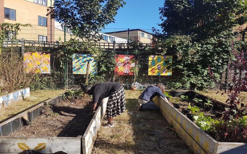 Volunteers grow food produce in spaces that would be neglected 