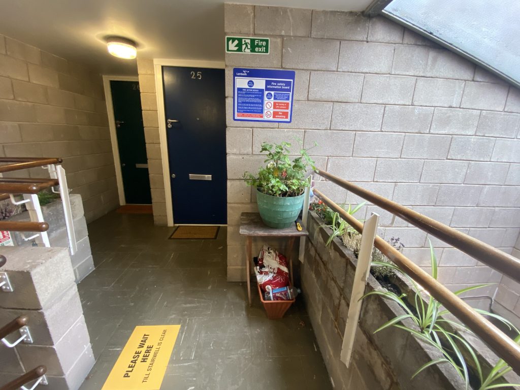 A plant pot sits in front of where a fire extinguisher should be 