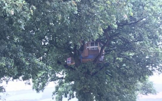tree house