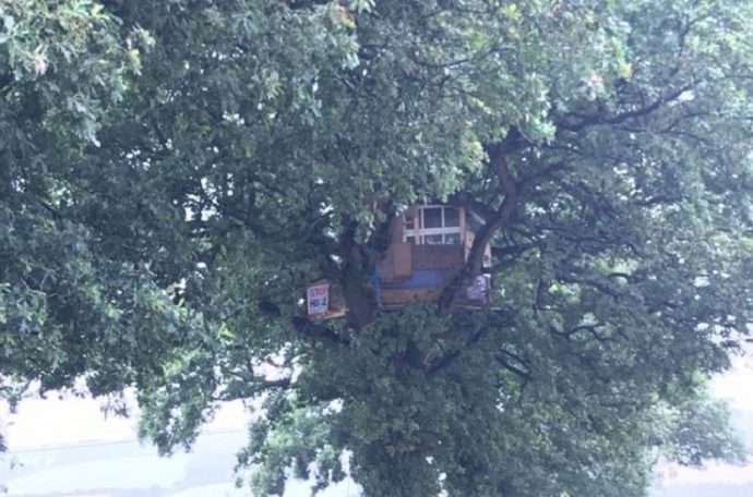 tree house