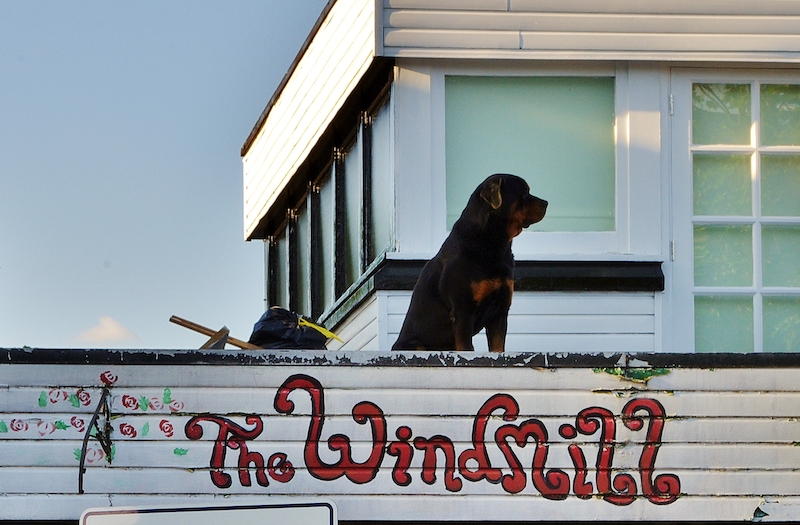 Boogie or bust Windmill Brixton raises £20,000 to keep its doors open