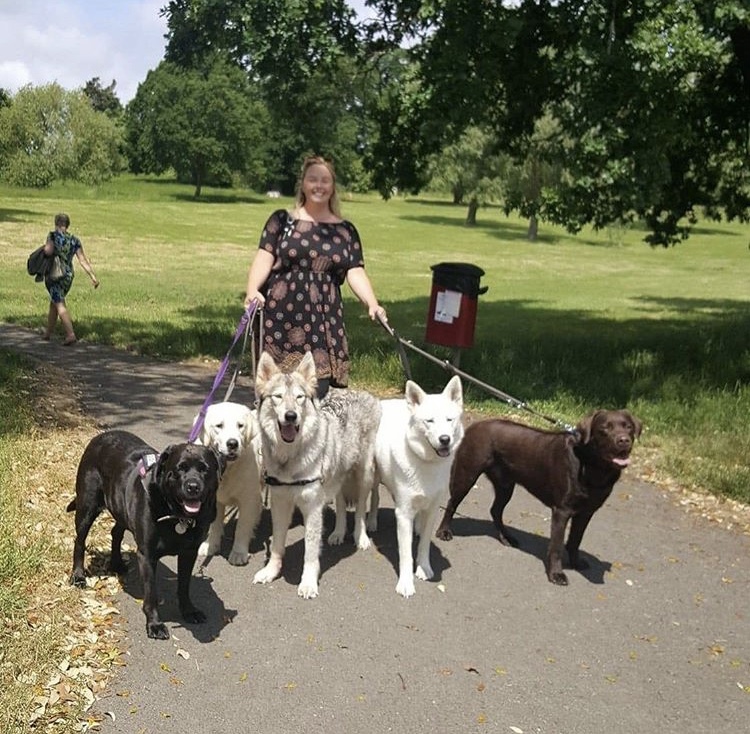 Go Walkies Owner Laura Ochoa walking dogs in the park