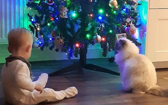 A baby and cat sit beneath a christmas tree