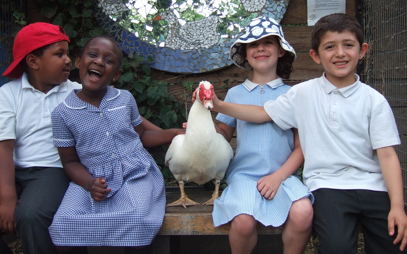 School children and farm duck