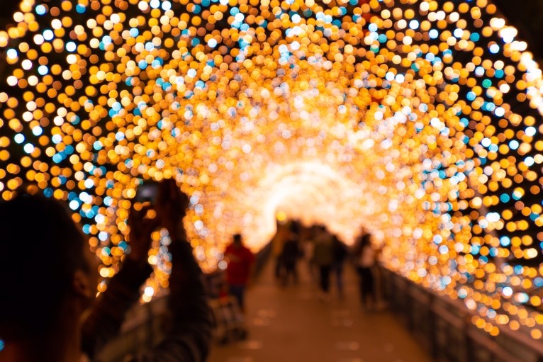 Christmas at Kew Gardens a tunnel of lights