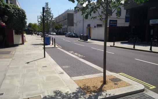 a tree in a street