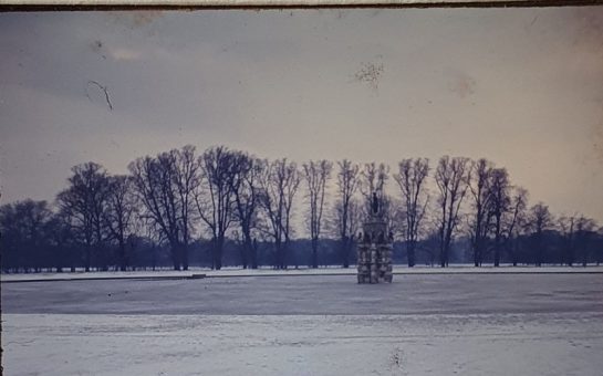 A snowy scene featuring the lake and Diana statues in bushy park