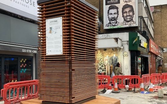 Shows a City Tree on Putney High Street