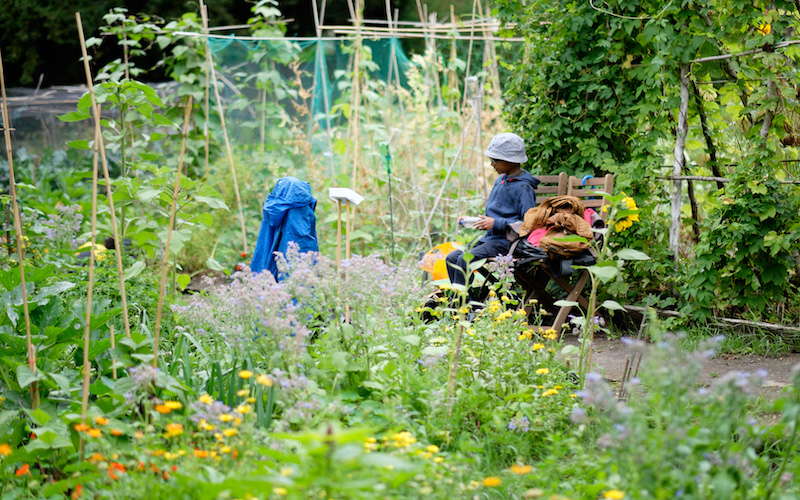 One of the learner plots at the Streatham Common Community Garden.