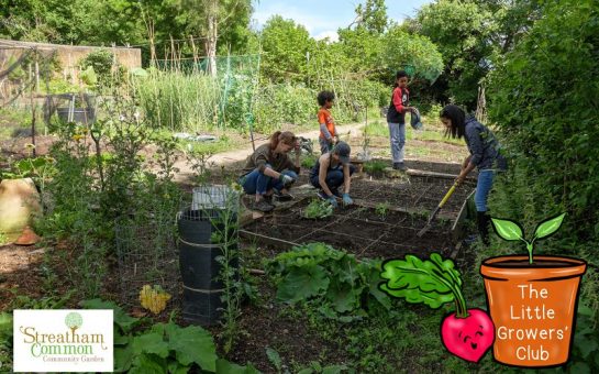 Little Growers Club gardening on vegetable patch