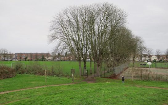 Alexandra Millenium garden