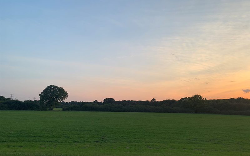 tolworth court farm fields