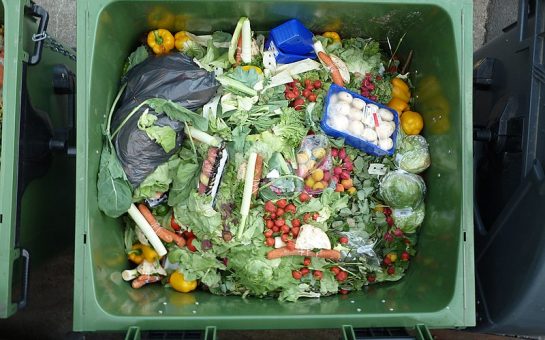 Top down picture of a green bin filled with various food items including lettuce, eggs, mushrooms and other non identifiable items. The bin is nearly filled to the top indicating a large amount of food waste.