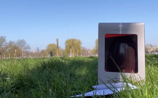 easter egg against grass backdrop