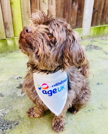 Hector looking cool sporting his Age UK Bandana