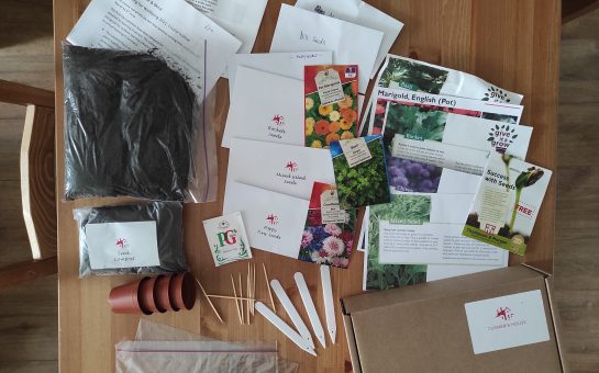 Indoor gardening kits for zoom classes