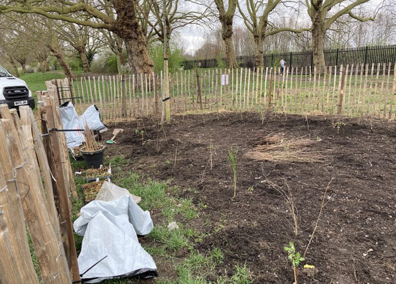 Miniforest-planting raises awareness of climate change.