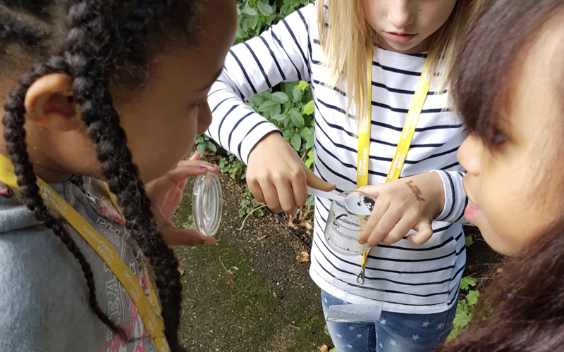 A group of three primary school children collect outdoor samples as part of a learning workshop at Leighton House