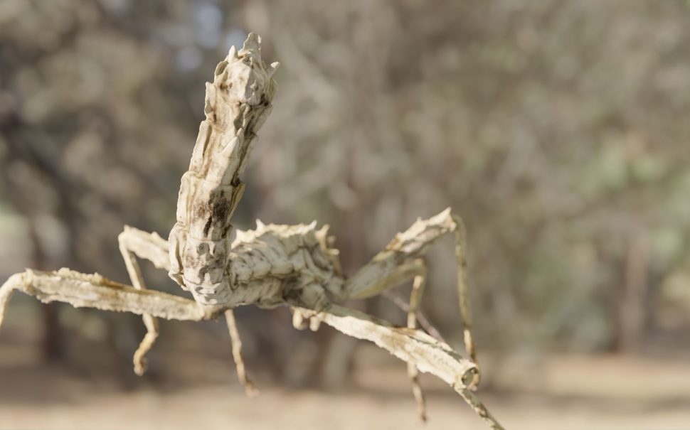 Photorealistic insects can be used to rig animations in games and movies.