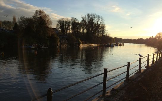 Twickenham Riverside Sunset